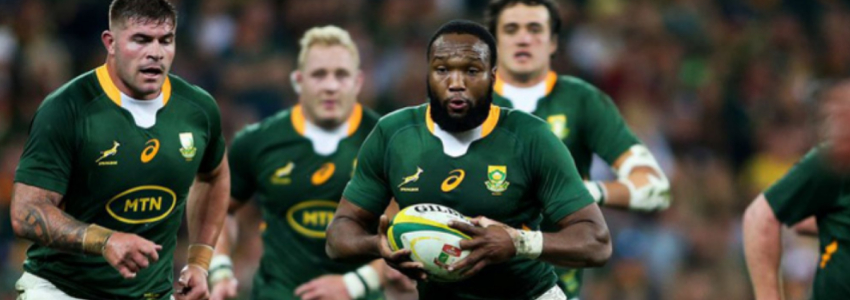 maillot rugby Afrique du Sud